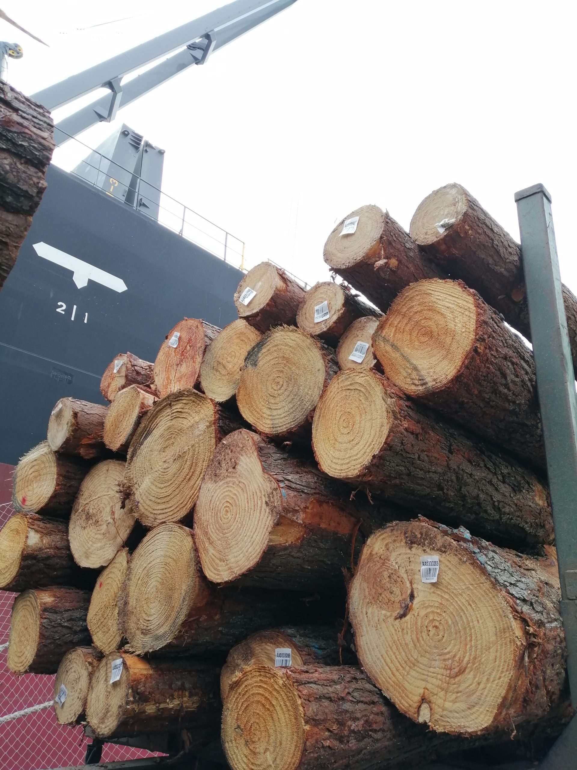 AF exports forest products from Uruguay, Chile, and Brazil